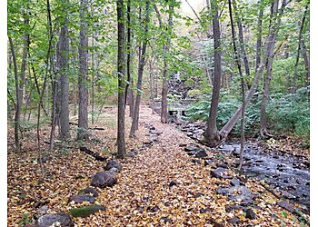 Worcester Hiking Trails Cascading Waters