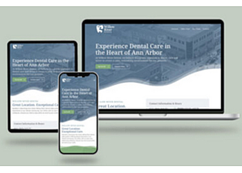 Ann Arbor Web Designers Casey’s Head