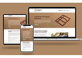 Ann Arbor Web Designers Casey’s Head