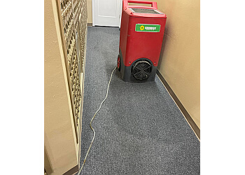 Brownsville Carpet Cleaners Castillo Floor Care