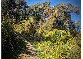 Modesto Hiking Trails Caswell Memorial State Park