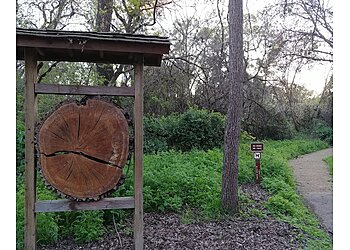 Stockton Hiking Trails Caswell Memorial State Park