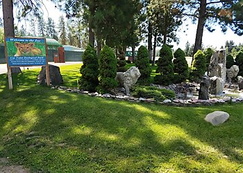 Spokane Places To See Cat Tales Wildlife Center