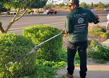Mesa Lawn Care Services Catalina Lawn Care, LLC