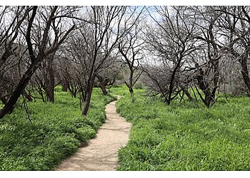 Tucson Hiking Trails Catalina State Park
