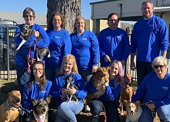 Cathy's Critter Care San Antonio Dog Walkers image 1