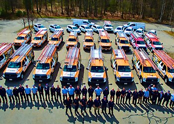 Stamford Pest Control Companies Catseye Pest Control