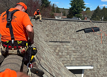 Cambridge Pest Control Companies Catseye Pest Control Cambridge