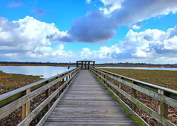 Beaumont Hiking Trails Cattail Marsh Wetlands