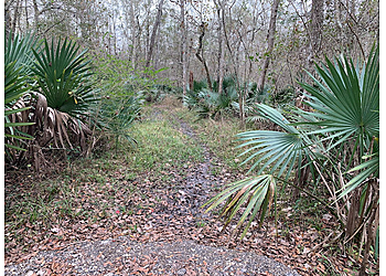 Beaumont Hiking Trails Cattail Marsh Wetlands
