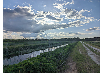 Cattail Marsh Wetlands Beaumont Hiking Trails image 1
