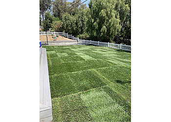Fullerton Lawn Care Services Caudillo Landscaping and Irrigation