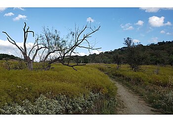 Grand Prairie Hiking Trails Cedar Hill State Park