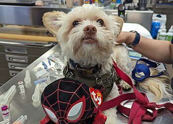 Fresno Veterinary Clinics Cedar Veterinary Hospital