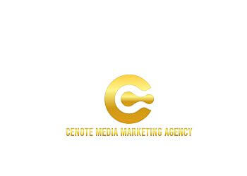Cenote Media Agency Anaheim Web Designers