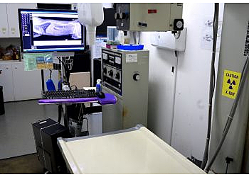 Inglewood Veterinary Clinics Centinela Animal Hospital