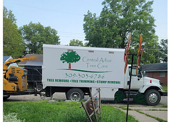 Central Arbor Tree Care