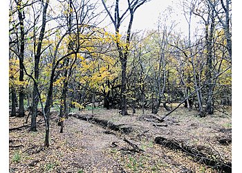 Lewisville Hiking Trails Central Park
