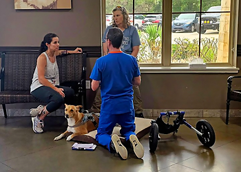 Round Rock Veterinary Clinics Central Texas Veterinary Speciality and Emergency Hospital