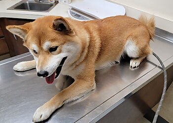 Fremont Veterinary Clinics Central Veterinary Hospital