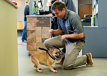 Knoxville Veterinary Clinics Central Veterinary Hospital