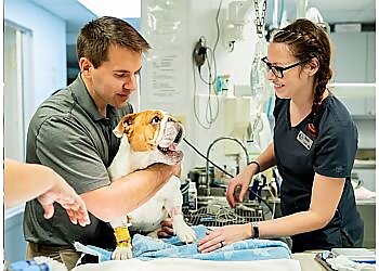 Knoxville Veterinary Clinics Central Veterinary Hospital