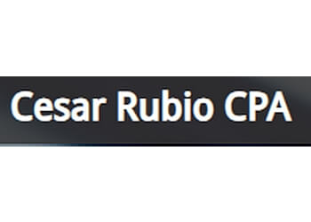 Fontana Accounting Firms Cesar Rubio CPA