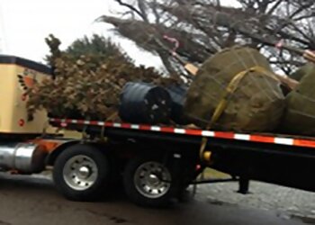 Bridgeport Landscaping Companies Chad Landscapes