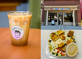 Chameleon Cafe Akron - Akron, OH Cafe - collage image(highlights)