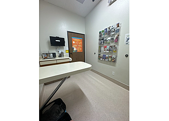 Oxnard Veterinary Clinics Channel Islands Veterinary Hospital