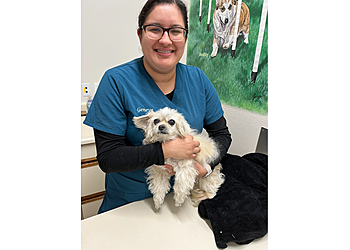 Oxnard Veterinary Clinics Channel Islands Veterinary Hospital