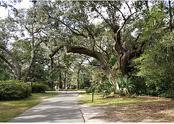 Charleston Hiking Trails Charles Towne Landing State Historic Site