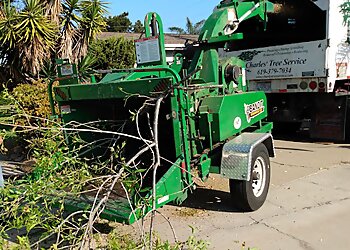 San Diego Tree Services Charles Tree Service Inc.