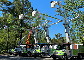 Charleston Tree Experts - SavATree Charleston Tree Services image 1