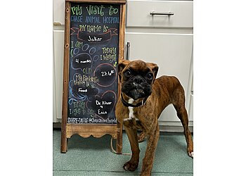 Huntsville Veterinary Clinics Chase Animal Hospital