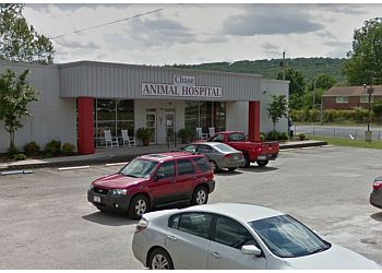 3 Best Veterinary Clinics in Huntsville, AL - ThreeBestRated