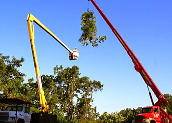 Chattanooga Tree Services Chattanooga Tree Service Inc.