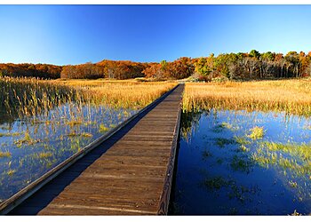 Jersey City Hiking Trails Cheesequake State Park