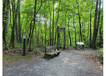 Cheesequake State Park Jersey City Hiking Trails