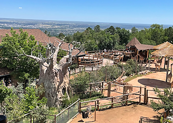 Colorado Springs Places To See Cheyenne Mountain Zoo