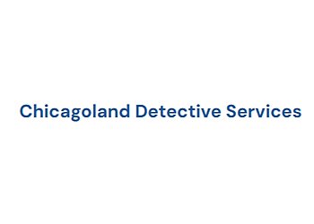 Chicago Private Investigation Service Chicagoland Detective Services