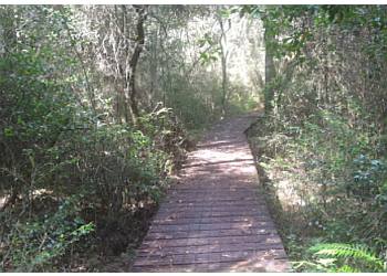 3 Best Hiking Trails in Mobile, AL - Expert Recommendations