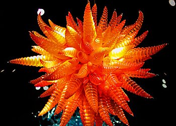 Seattle Places To See Chihuly Garden and Glass