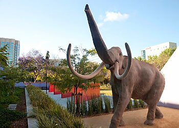 San Jose Places To See Children's Discovery Museum of San Jose