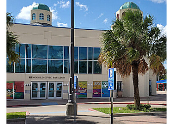 Children's Museum of Brownsville Brownsville Places To See