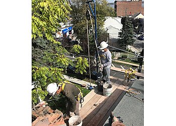 New York Chimney Sweep Chimney Professionals