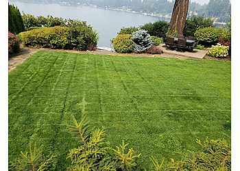Tacoma Lawn Care Services Chipo's Lawn Service