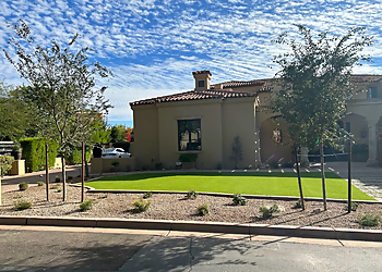 Phoenix Tree Services Chips Tree & Landscape