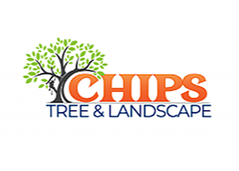 Chips Tree & Landscape Phoenix Tree Services image 1