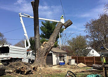 Kansas City Tree Services Choice Tree Service